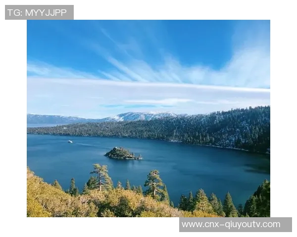 斑马与狼的生存之战：草原上的智慧与勇气较量